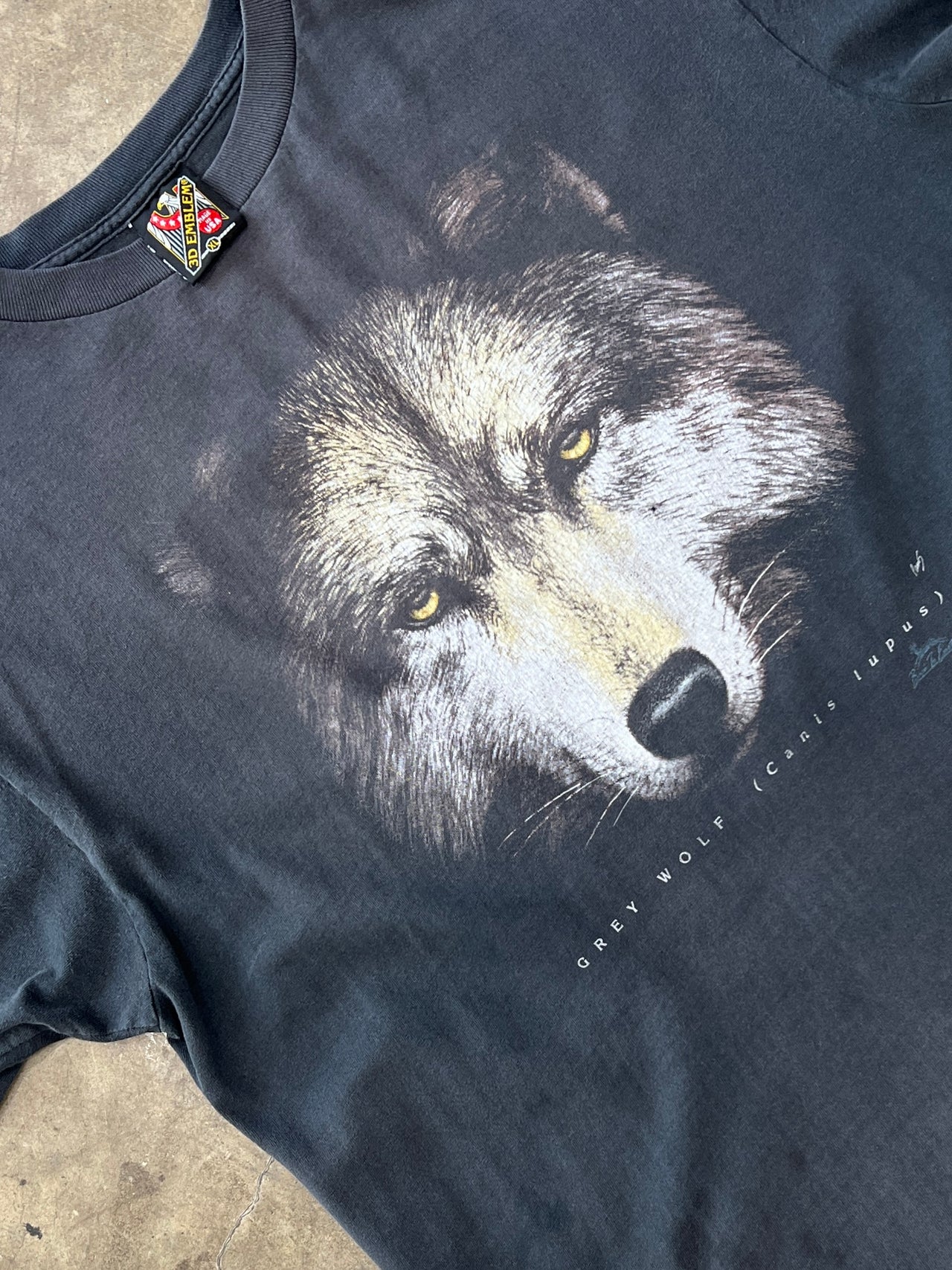 3D Emblem Grey Wolf Nature Single Stitch Tee