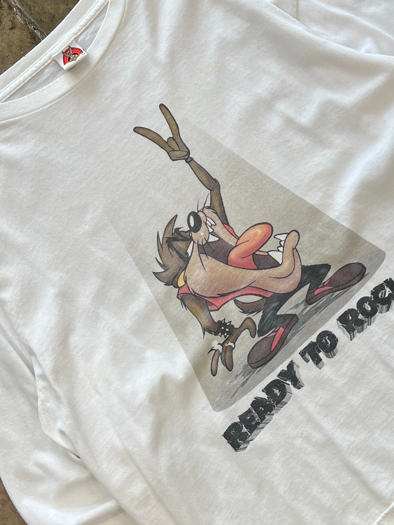 Looney Tunes Taz Ready To Rock Spotlight LS