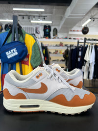 Nike Air Max 1 Patta Waves Monarch (2021)