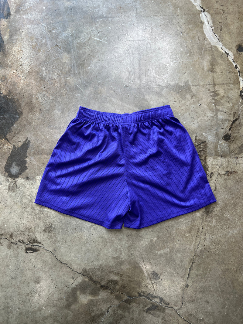 Inaka Power Shorts Purple