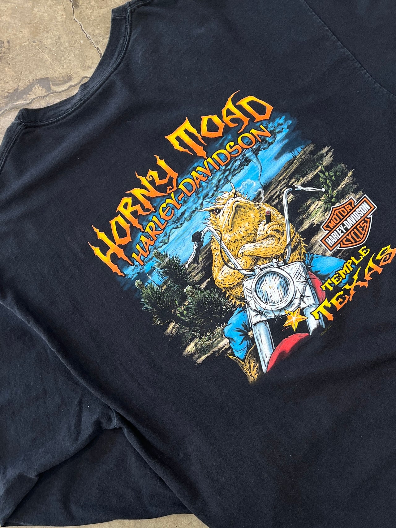 2008 Harley Davidson Texas Horny Toad Flame Long Sleeve