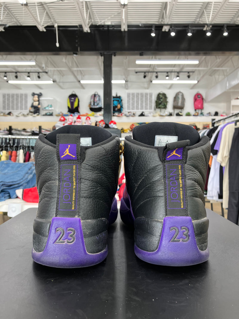 Air Jordan 12 Field Purple