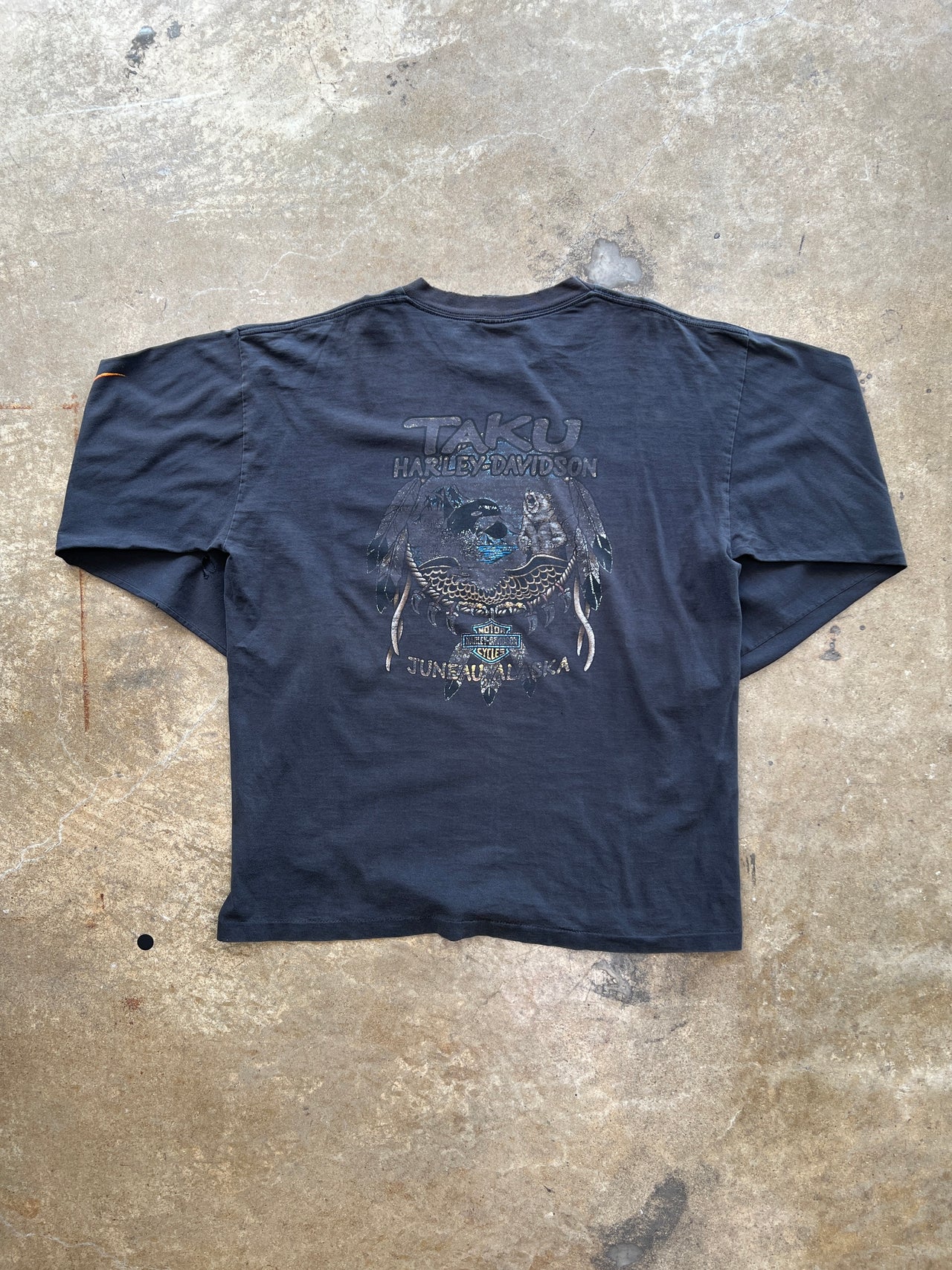 2000 Harley Davidson Flame Juneau Alaska Native Nature LS