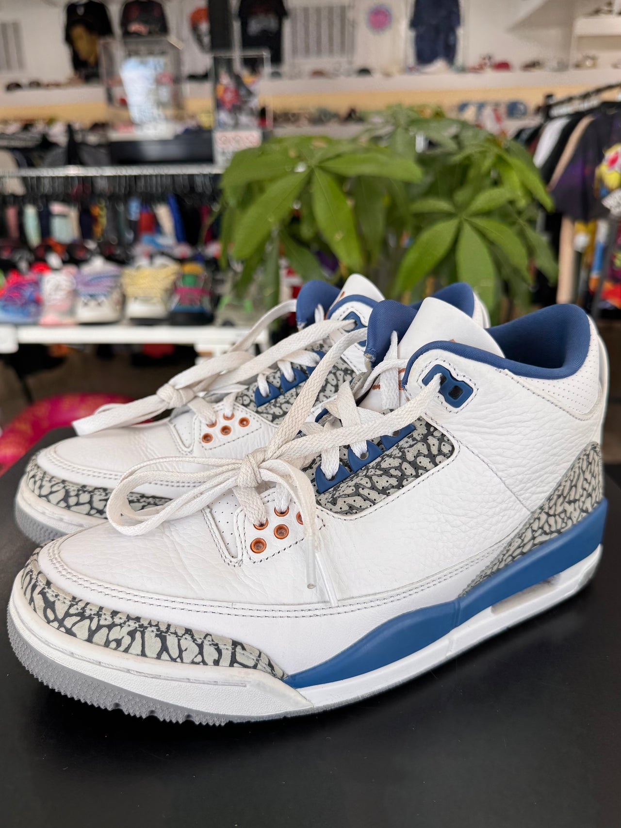 Air Jordan 3 Wizards (2023)