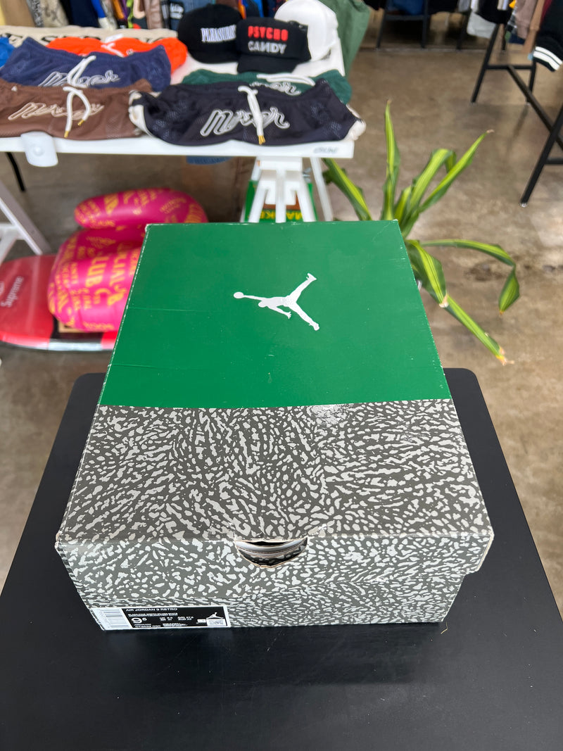 Air Jordan 3 Pine Green Sz. 9.5 (2021)