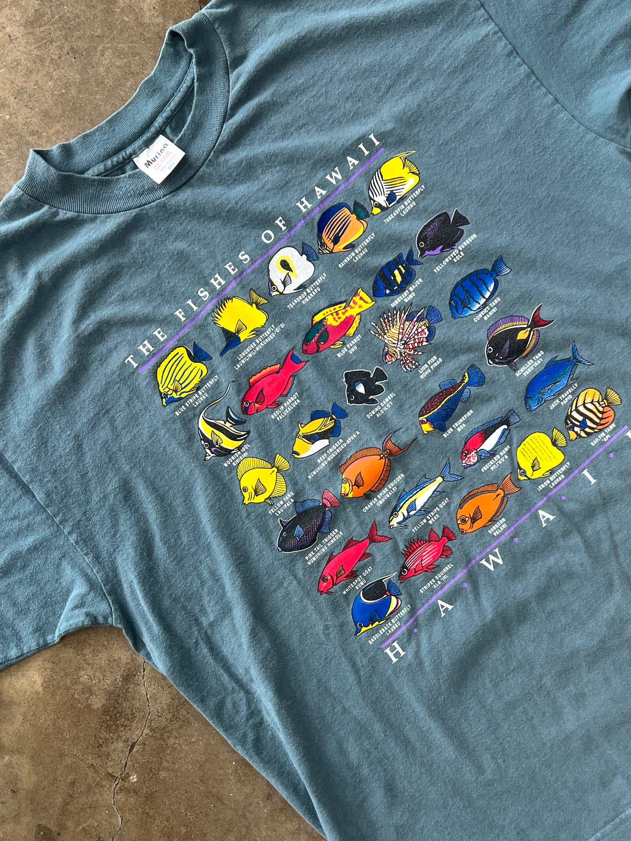 Fishes of Hawaii Vacation Tourist Tee