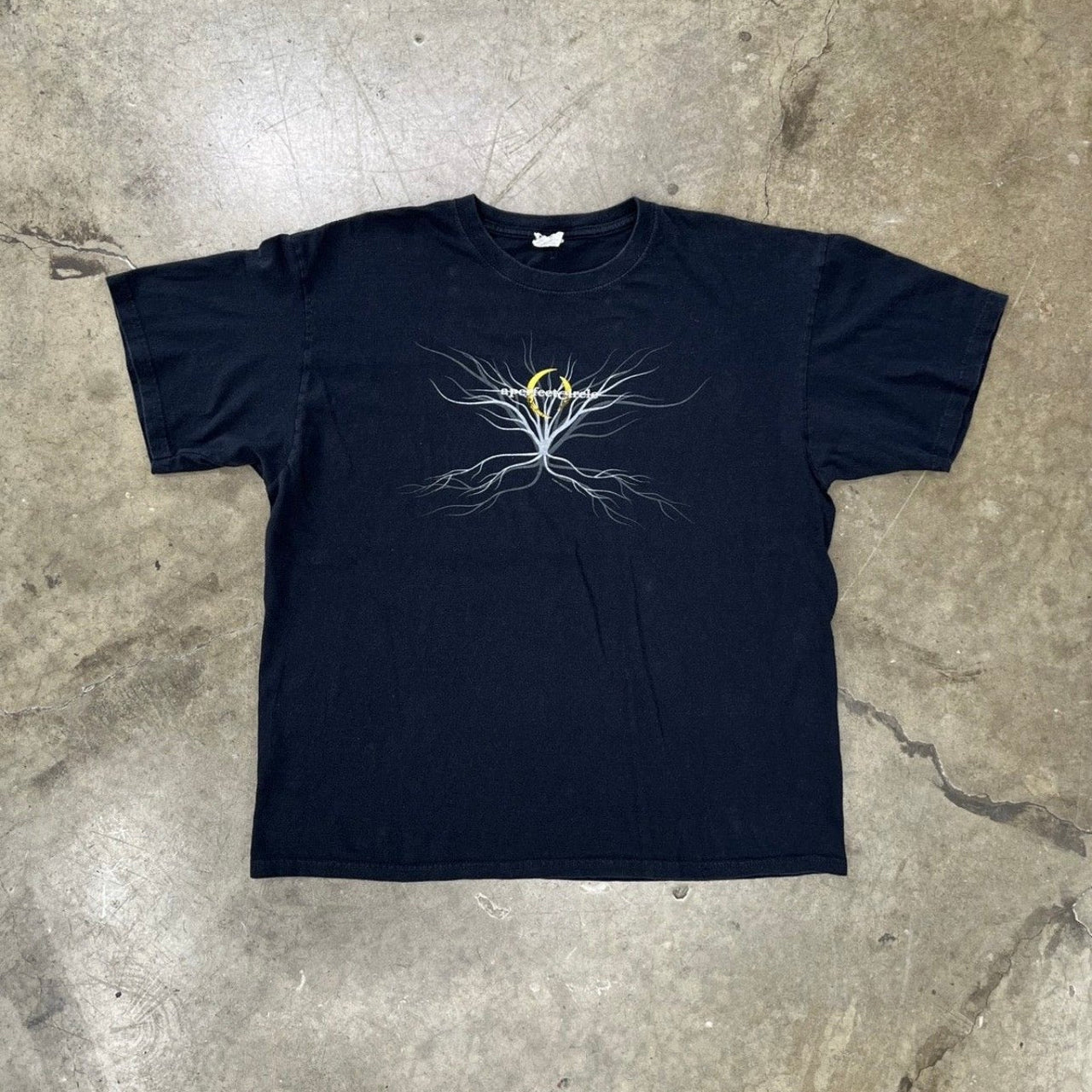 2004 A Perfect Circle Thirteenth Band Anvil Tee