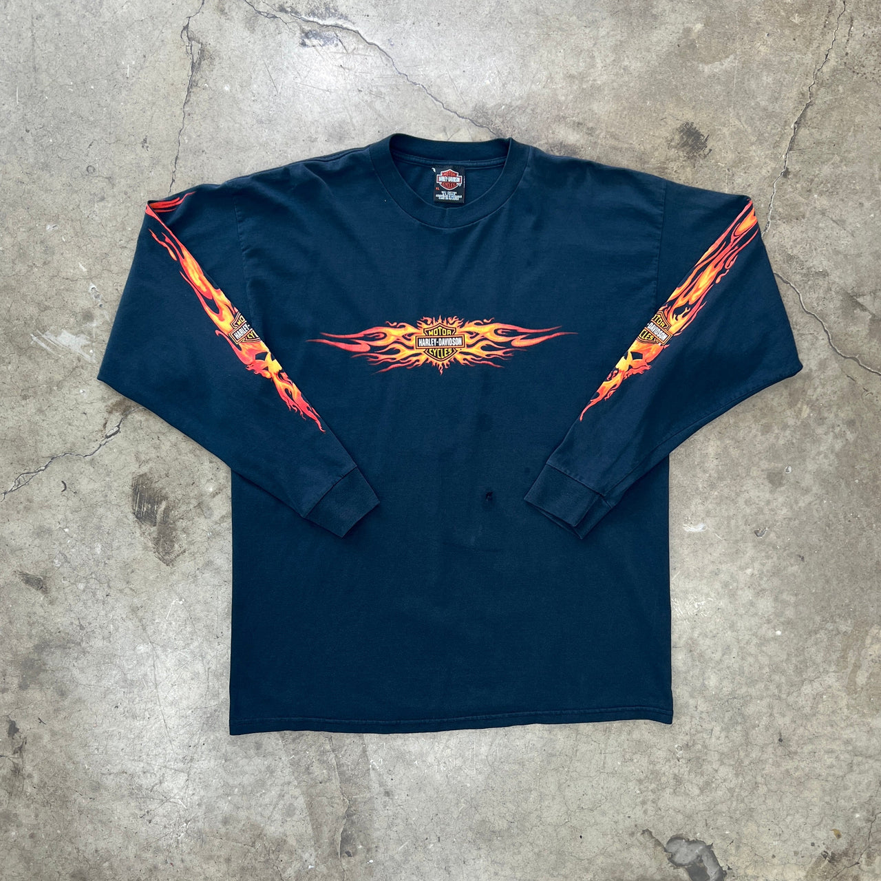 2002 Harley Davidson Destination Tacoma Flame Sleeve