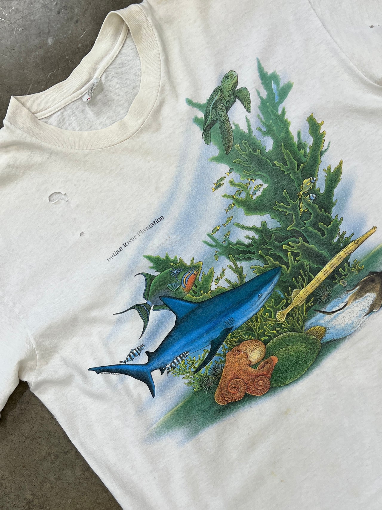 Indian River Plantation Nature Aquatic Tee