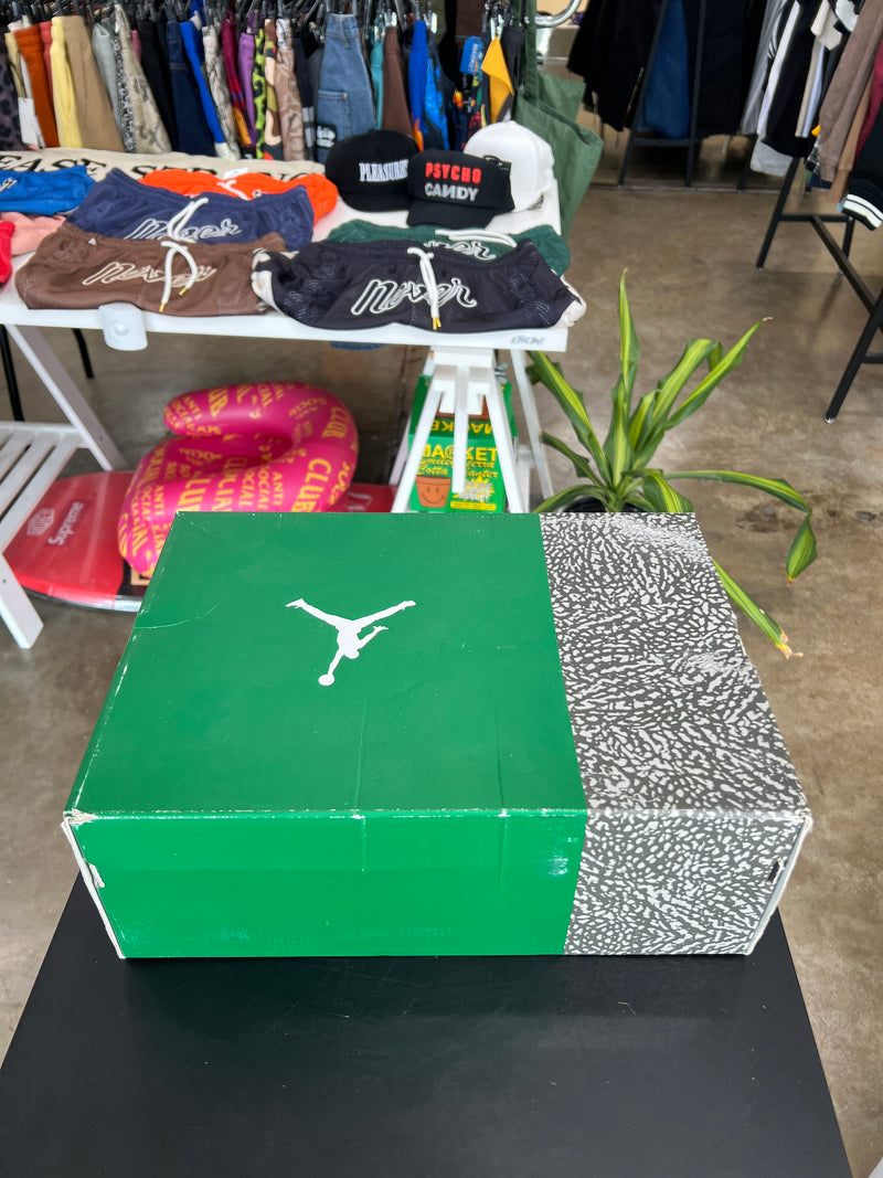 Air Jordan 3 Pine Green Sz. 9.5 (2021)