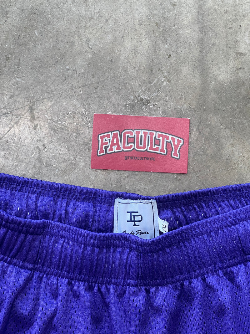 Inaka Power Shorts Purple