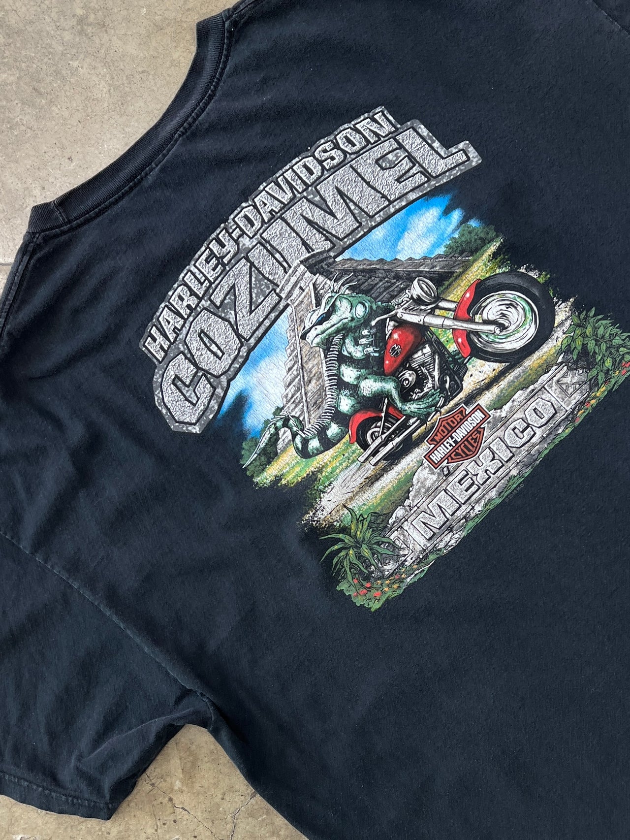 Harley Davidson Cozumel Mexico Pyramid Mayan Motorcycle Iguana Tee