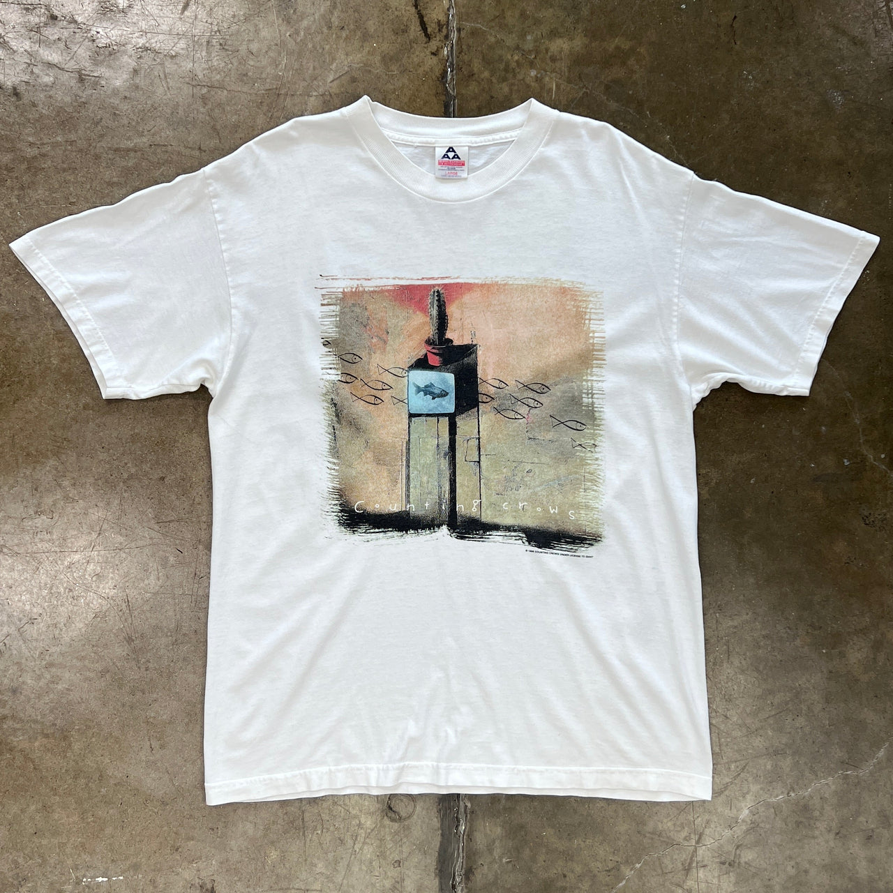 1999 Counting Crows This Desert Life Band Tee
