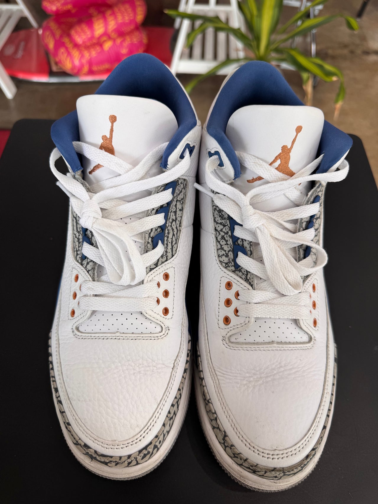Air Jordan 3 Wizards (2023)