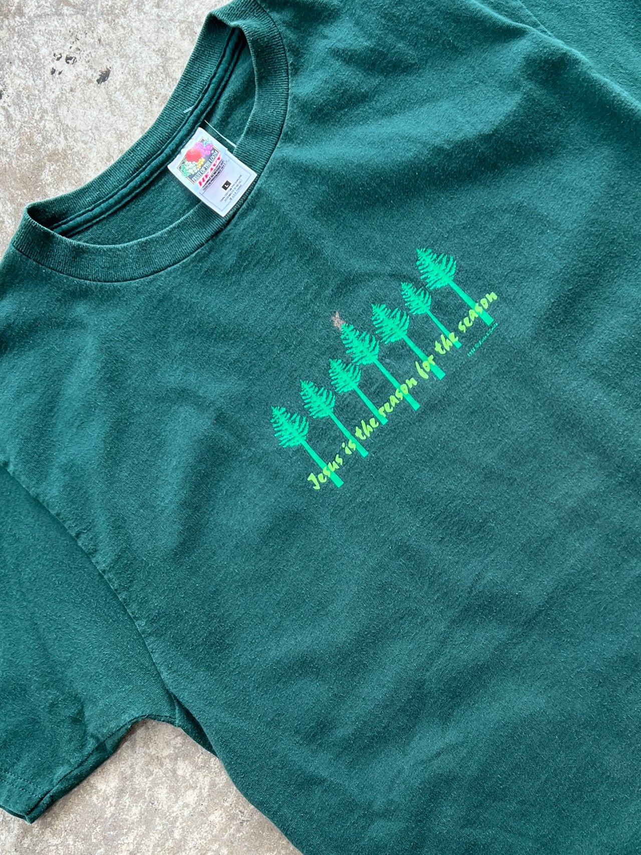Jesus is the Reason Nature Tee