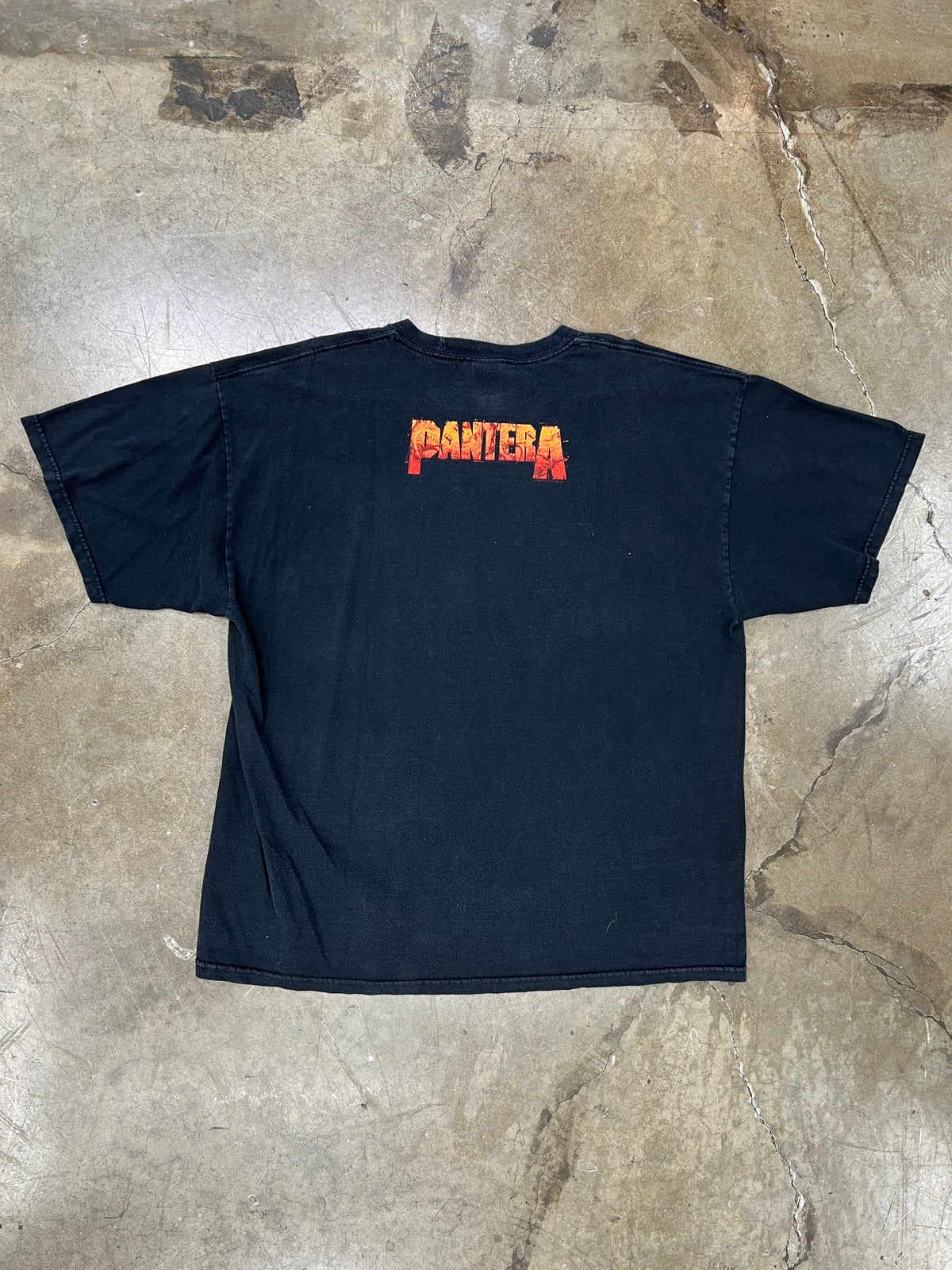 Pantera Skeleton Snake Guitar on Fire Tee