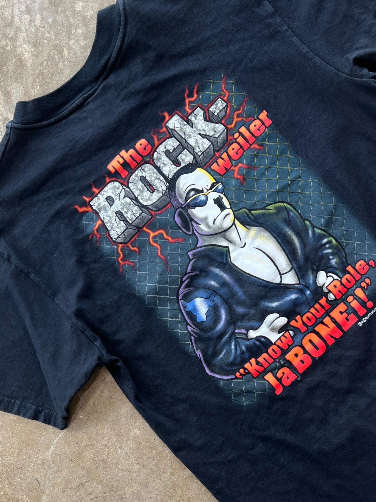 Y2K 2000 The Rock Ja Bonei Big Dog Tee