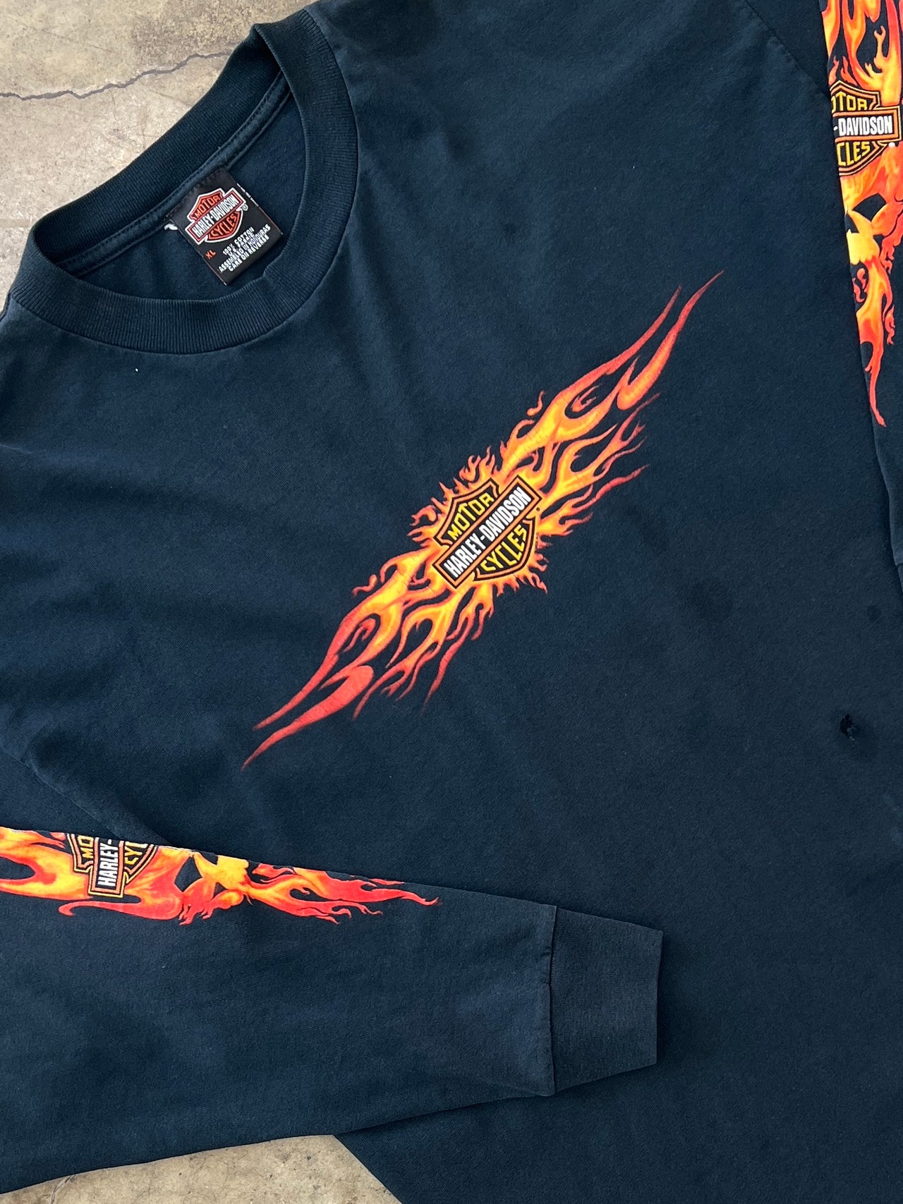 2002 Harley Davidson Destination Tacoma Flame Sleeve