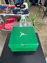 Air Jordan 3 Pine Green Sz. 9.5 (2021)