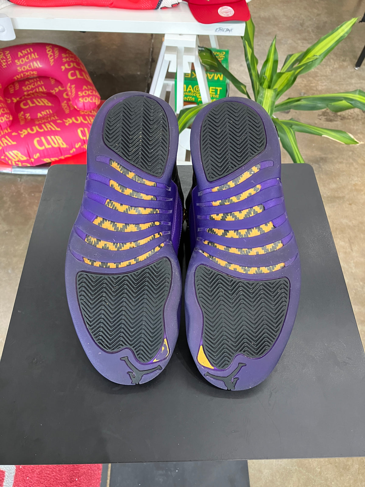 Air Jordan 12 Field Purple