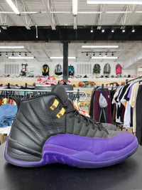 Air Jordan 12 Field Purple