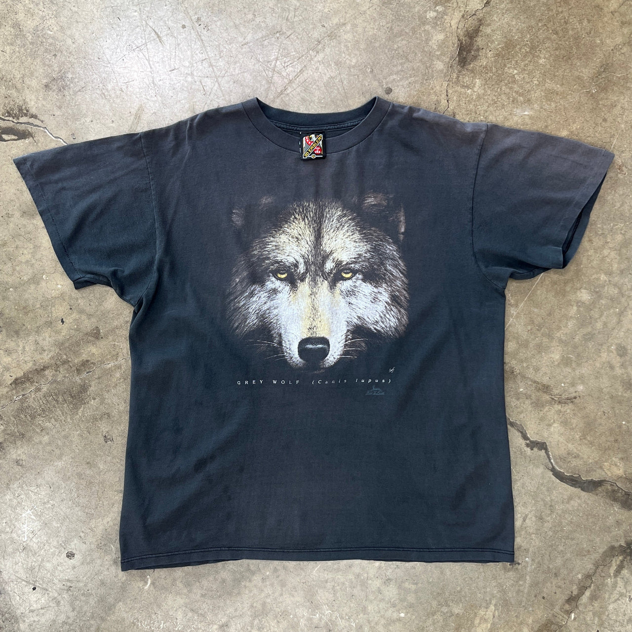 3D Emblem Grey Wolf Nature Single Stitch Tee
