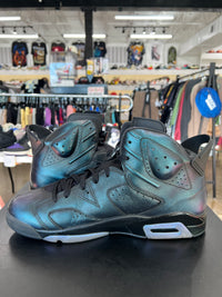 Air Jordan 6 All Star Chameleon Sz. 13 (2017)