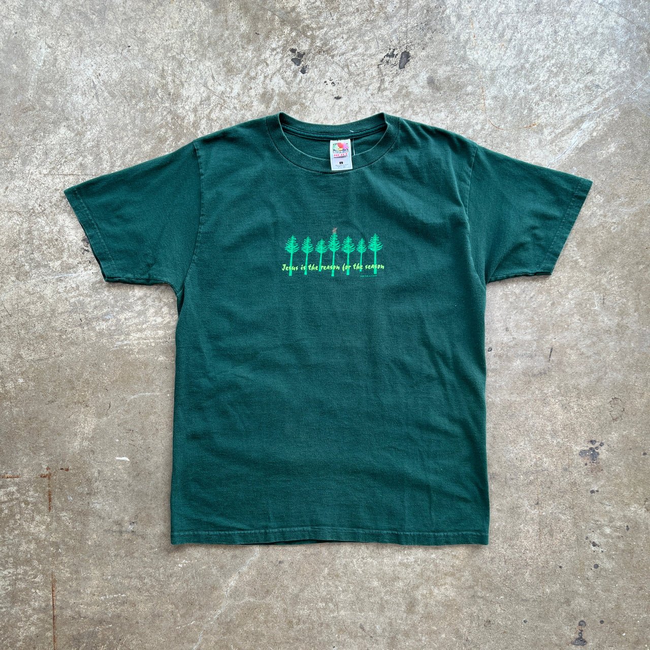 Jesus is the Reason Nature Tee