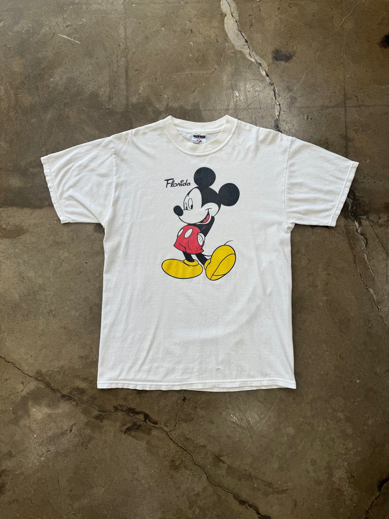 Mickey Mouse and friends Florida Tee