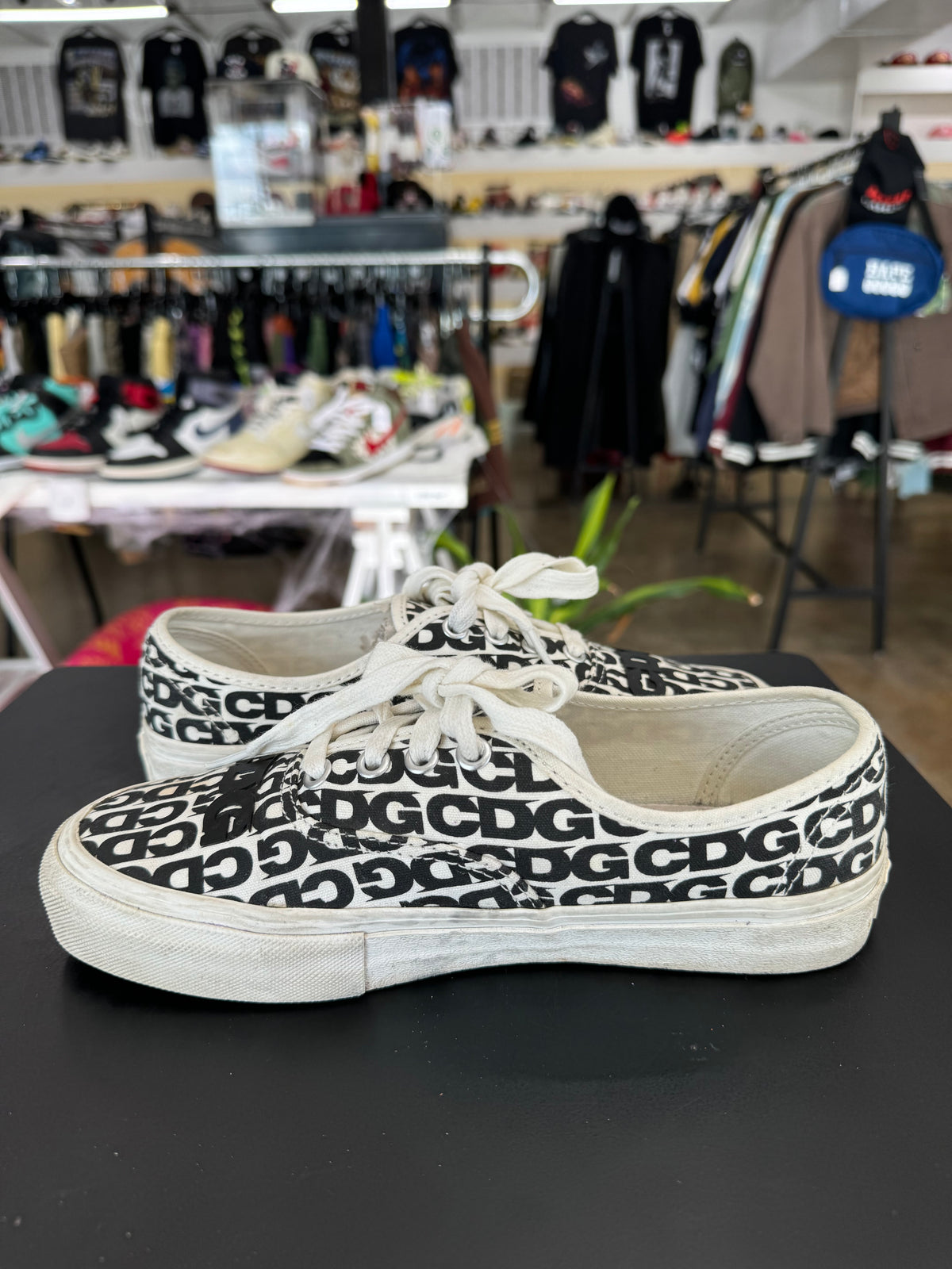 Comme Des Garcons x Vans