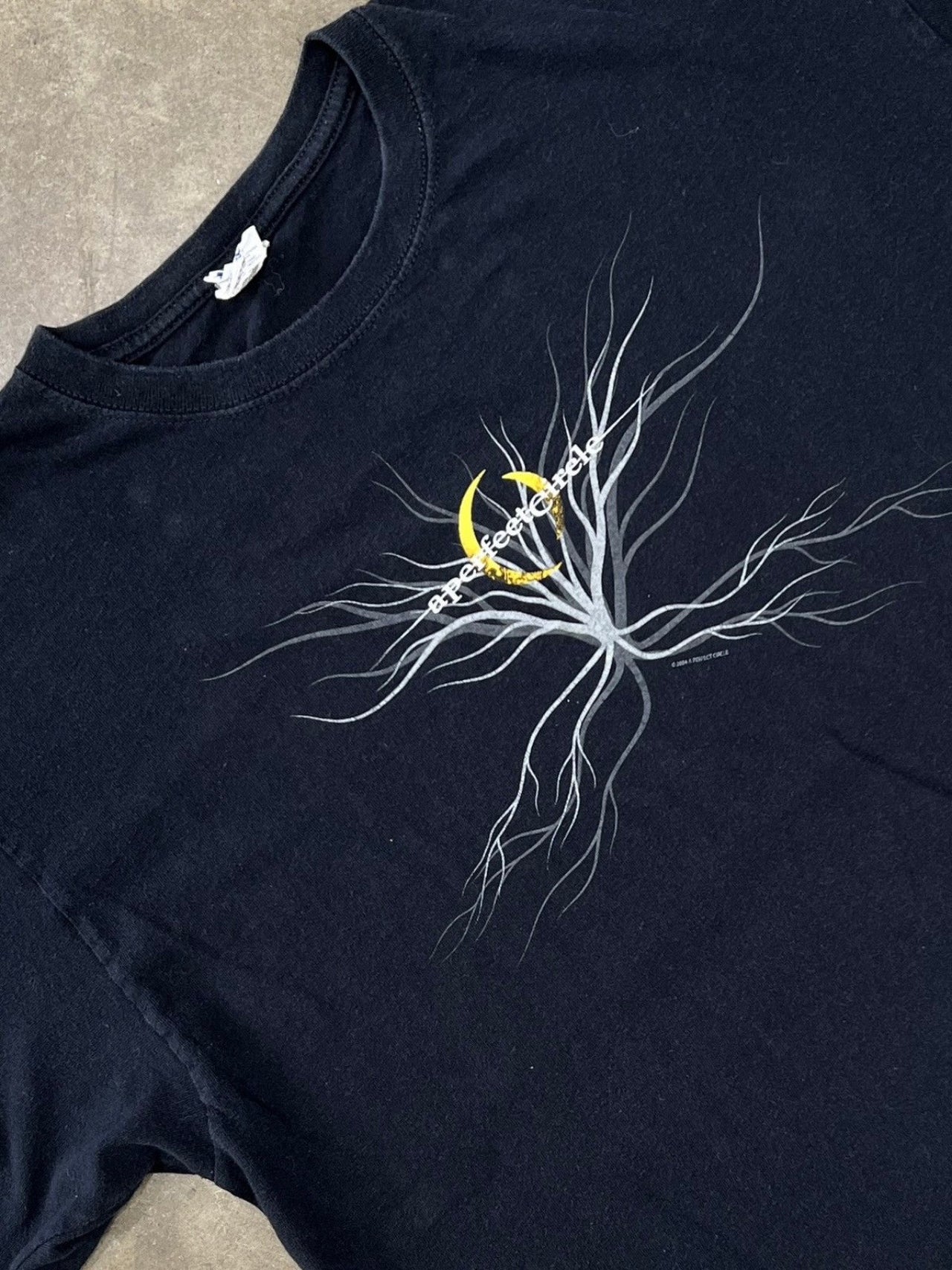 2004 A Perfect Circle Thirteenth Band Anvil Tee