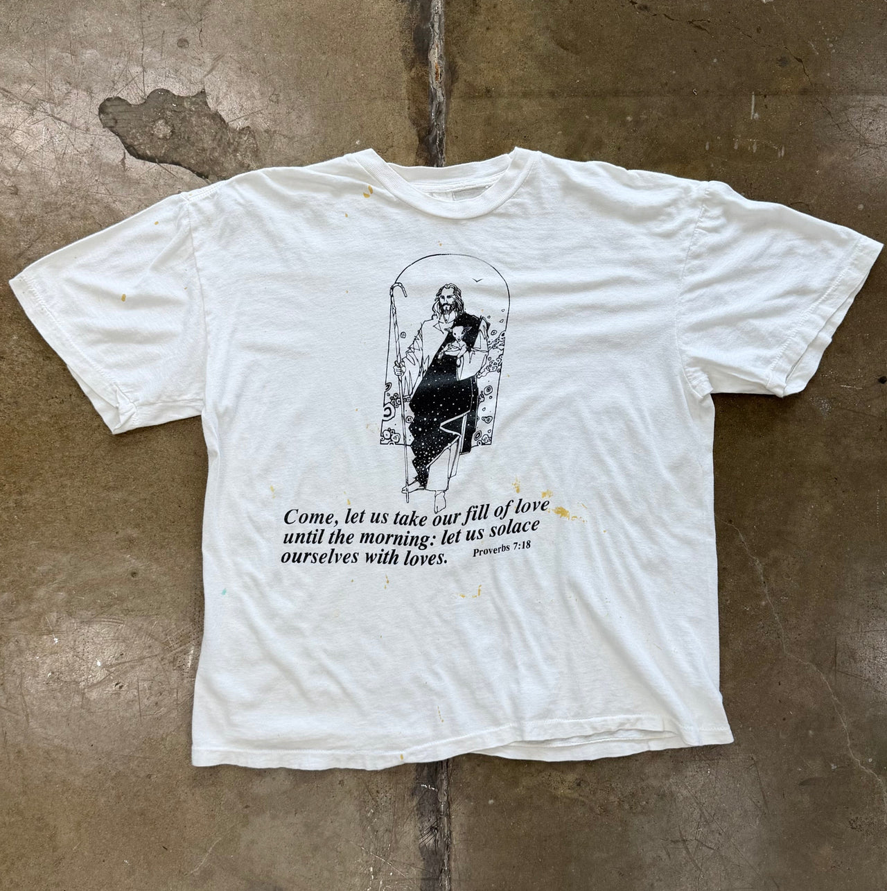 Proverbs Jesus Sheppard Bible Verse Religious Tee