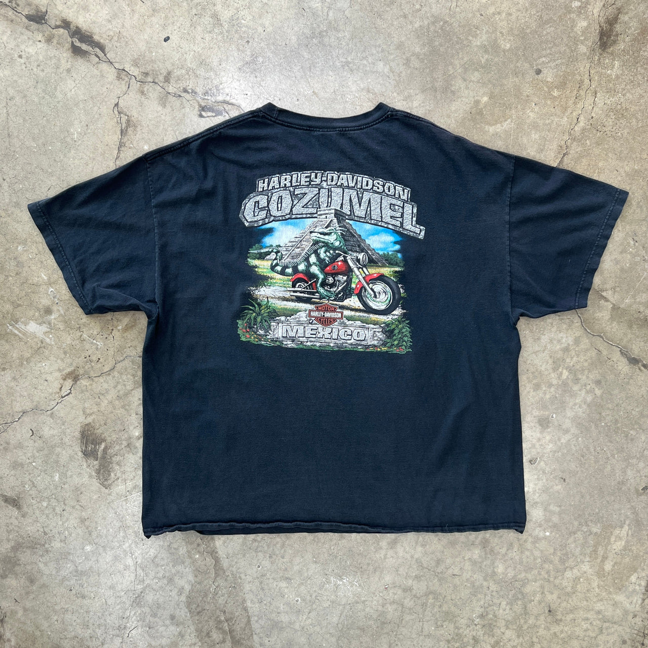 Harley Davidson Cozumel Mexico Pyramid Mayan Motorcycle Iguana Tee