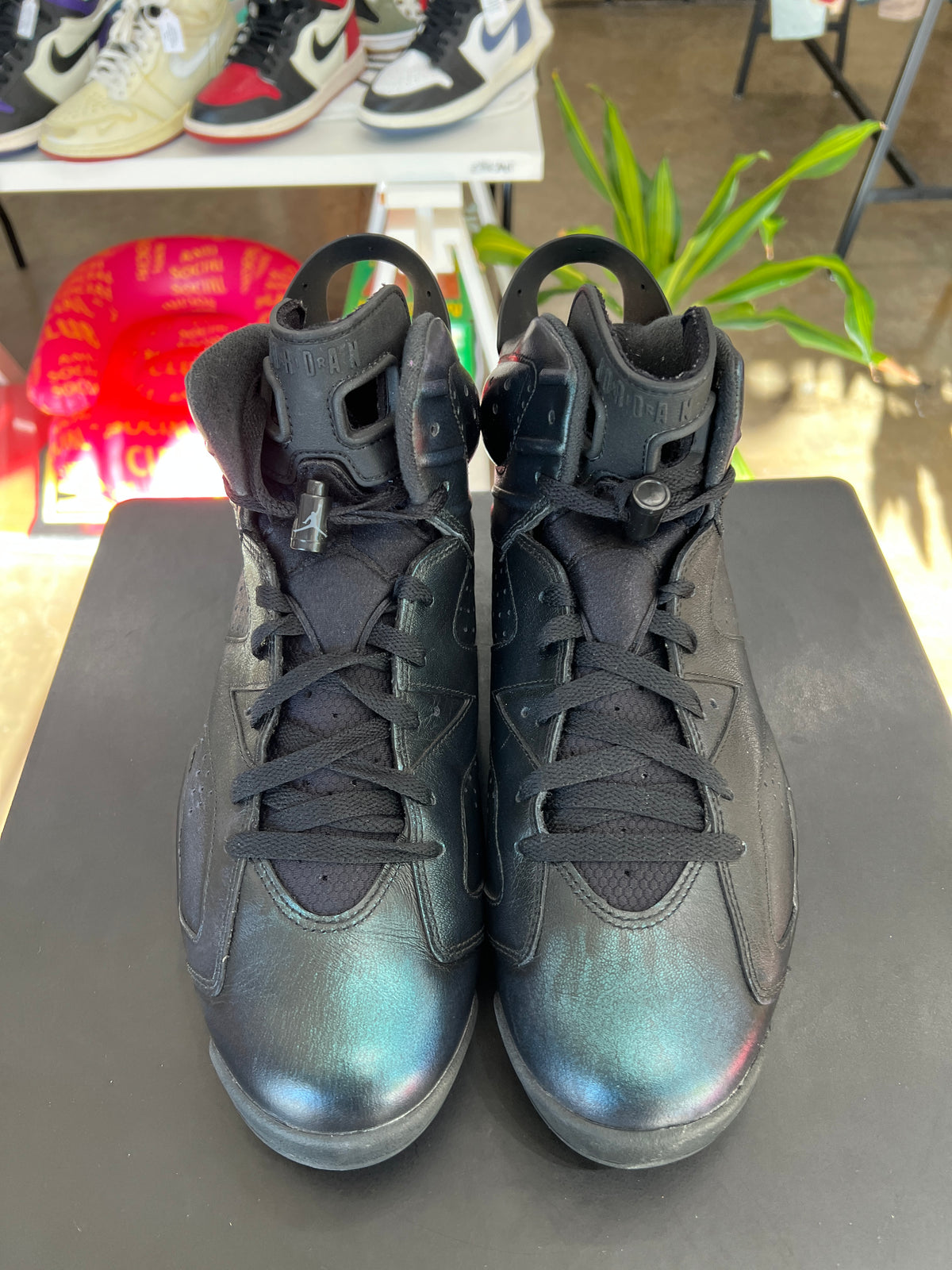 Air Jordan 6 All Star Chameleon Sz. 13 (2017)