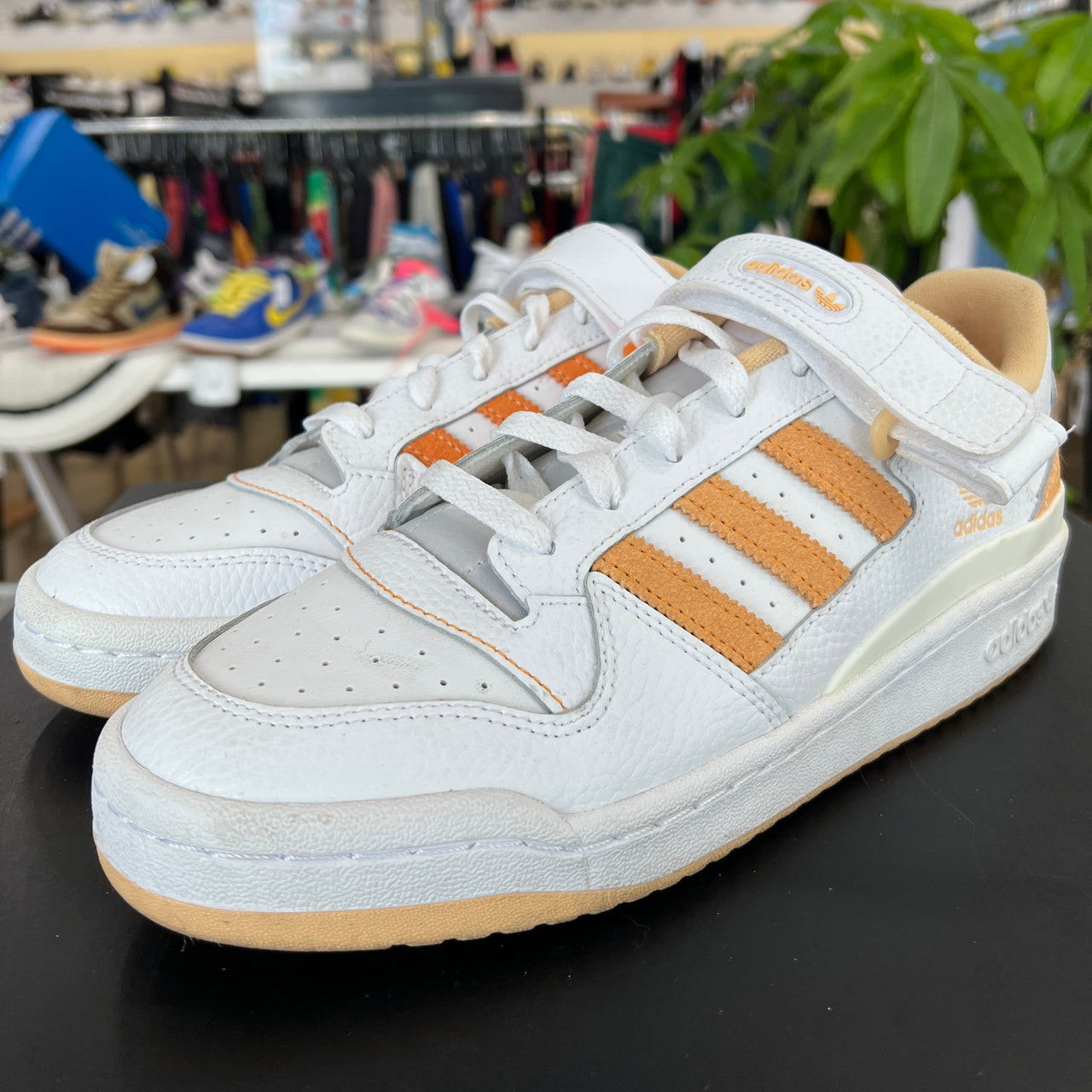 Forum Low White Pulse Amber