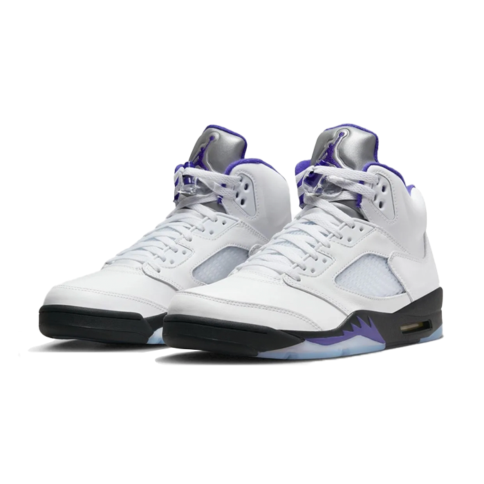 Air Jordan 5 Dark Concord