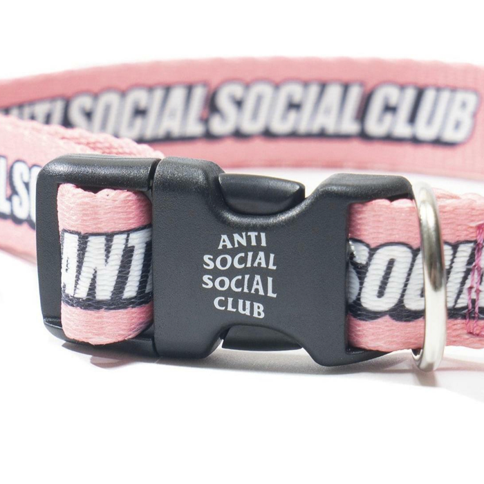 ASSC Logo Dog Collar - Pink