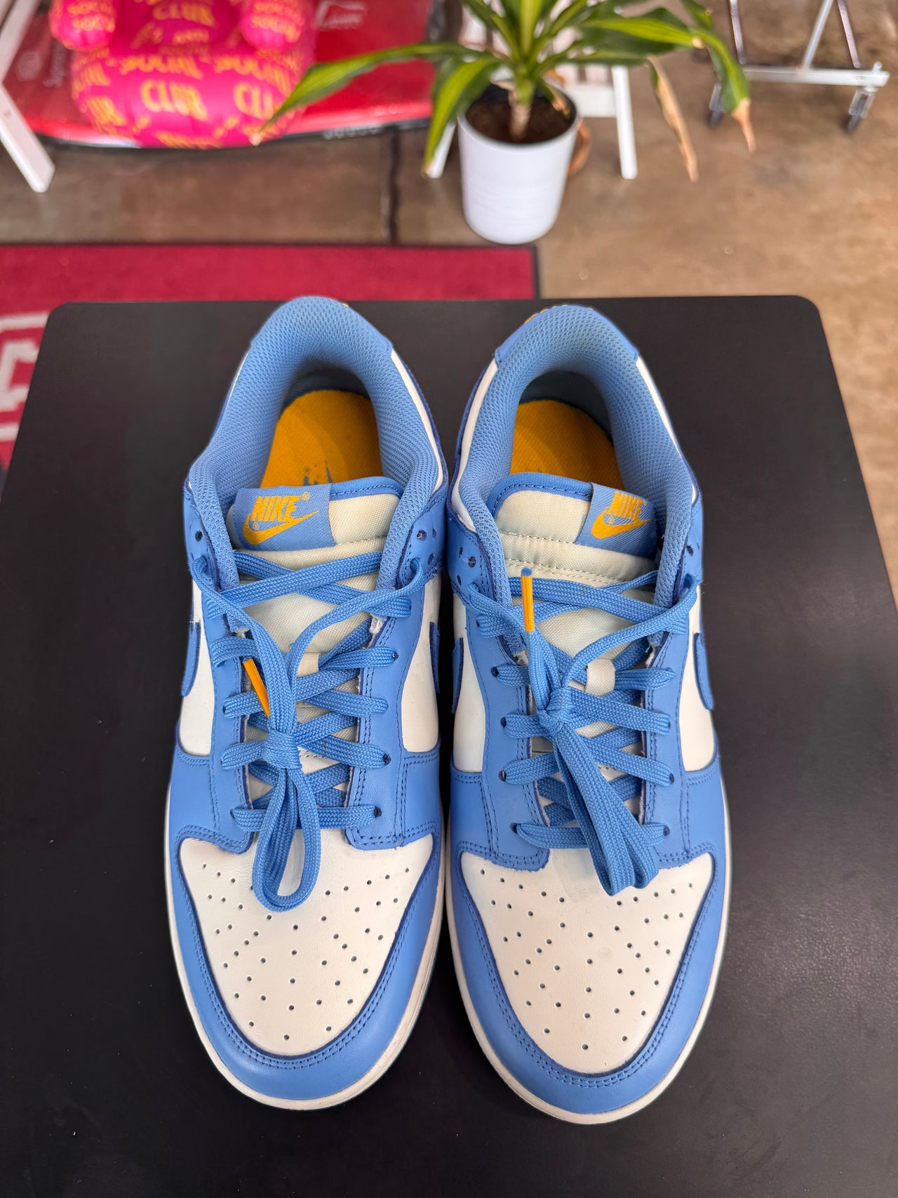 Nike Dunk Low Coast (2021)