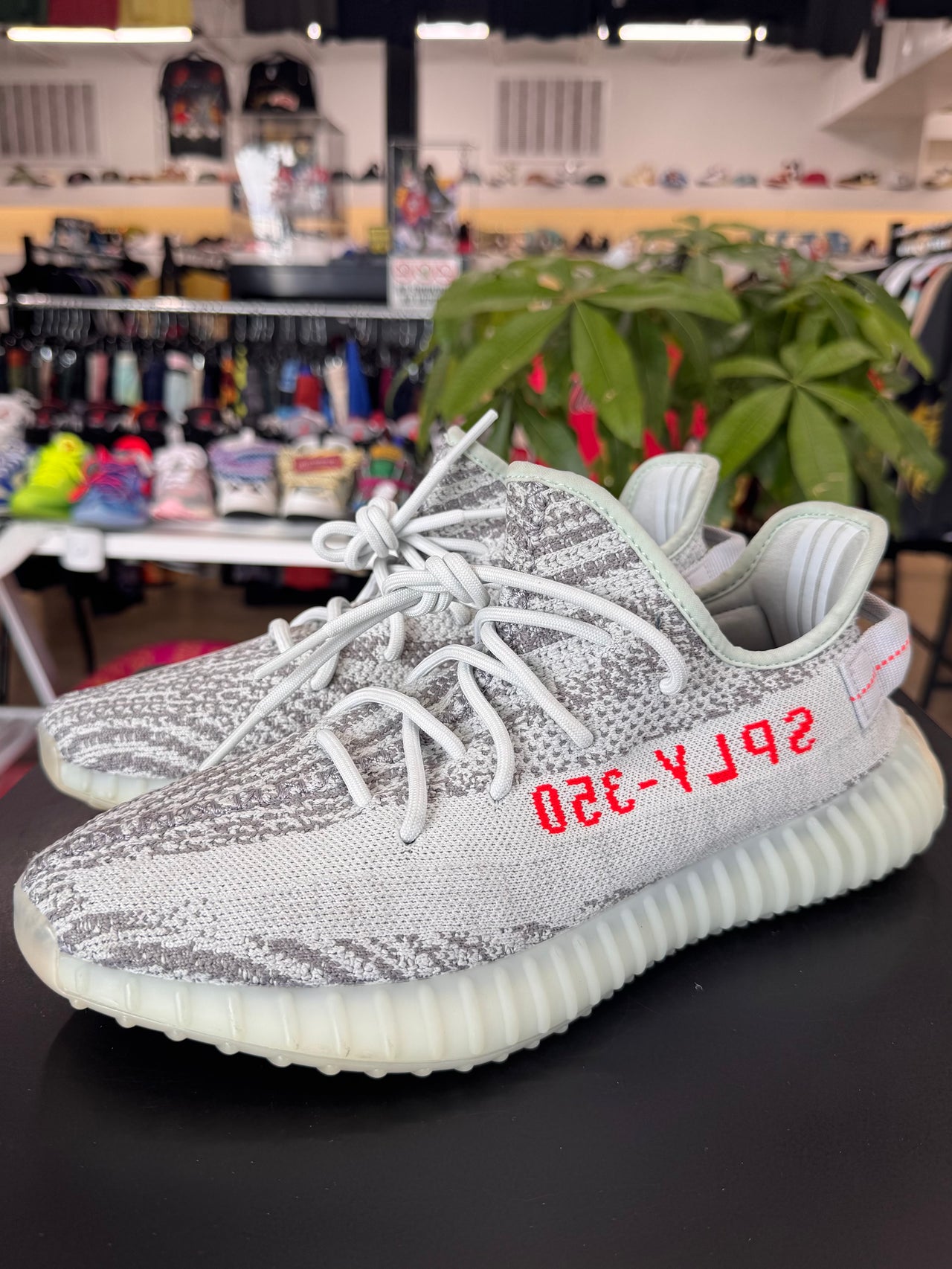 Adidas Yeezy 350 V2 Blue Tint (2017)