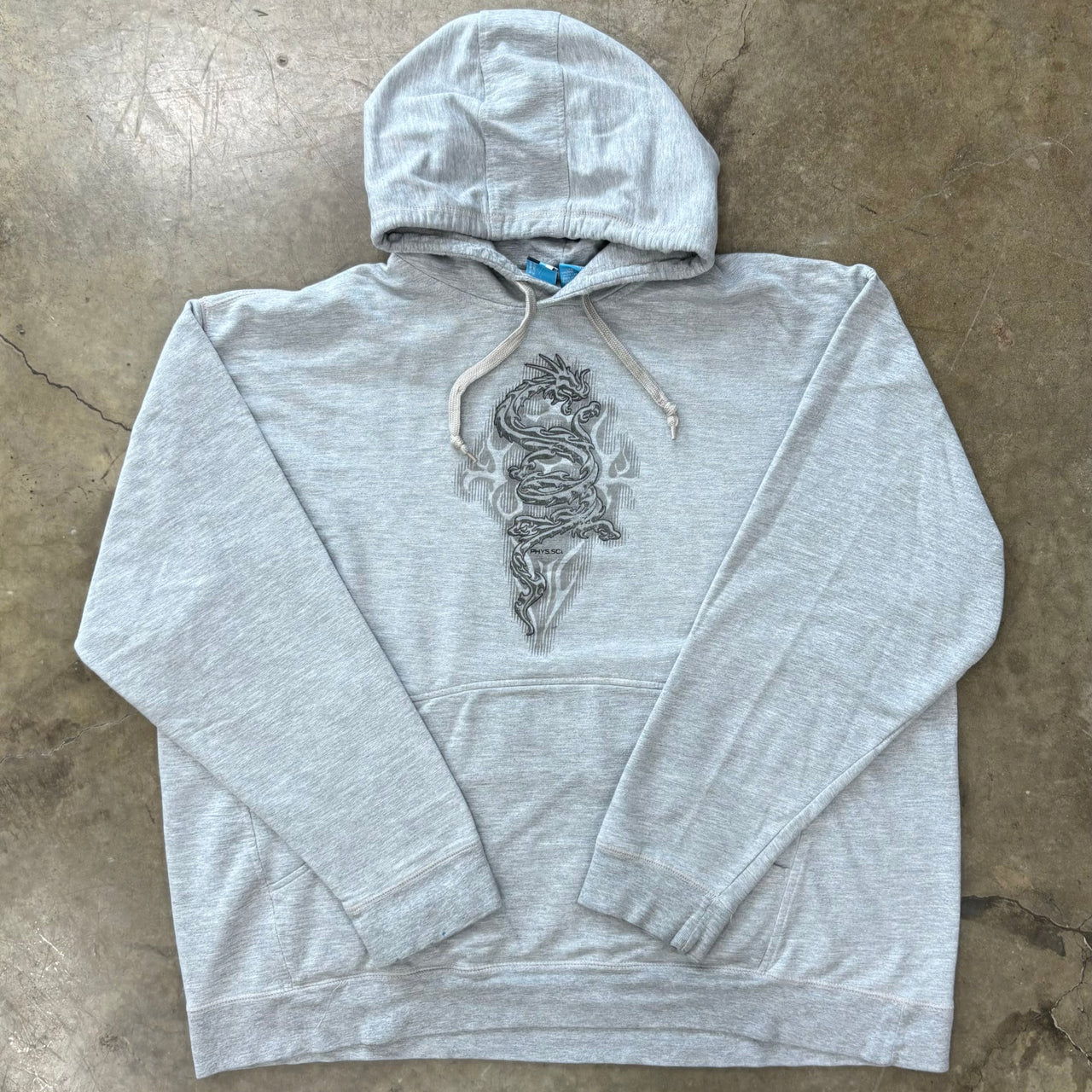 Y2K Early 2000 Phys.sci Dragon Hoodie