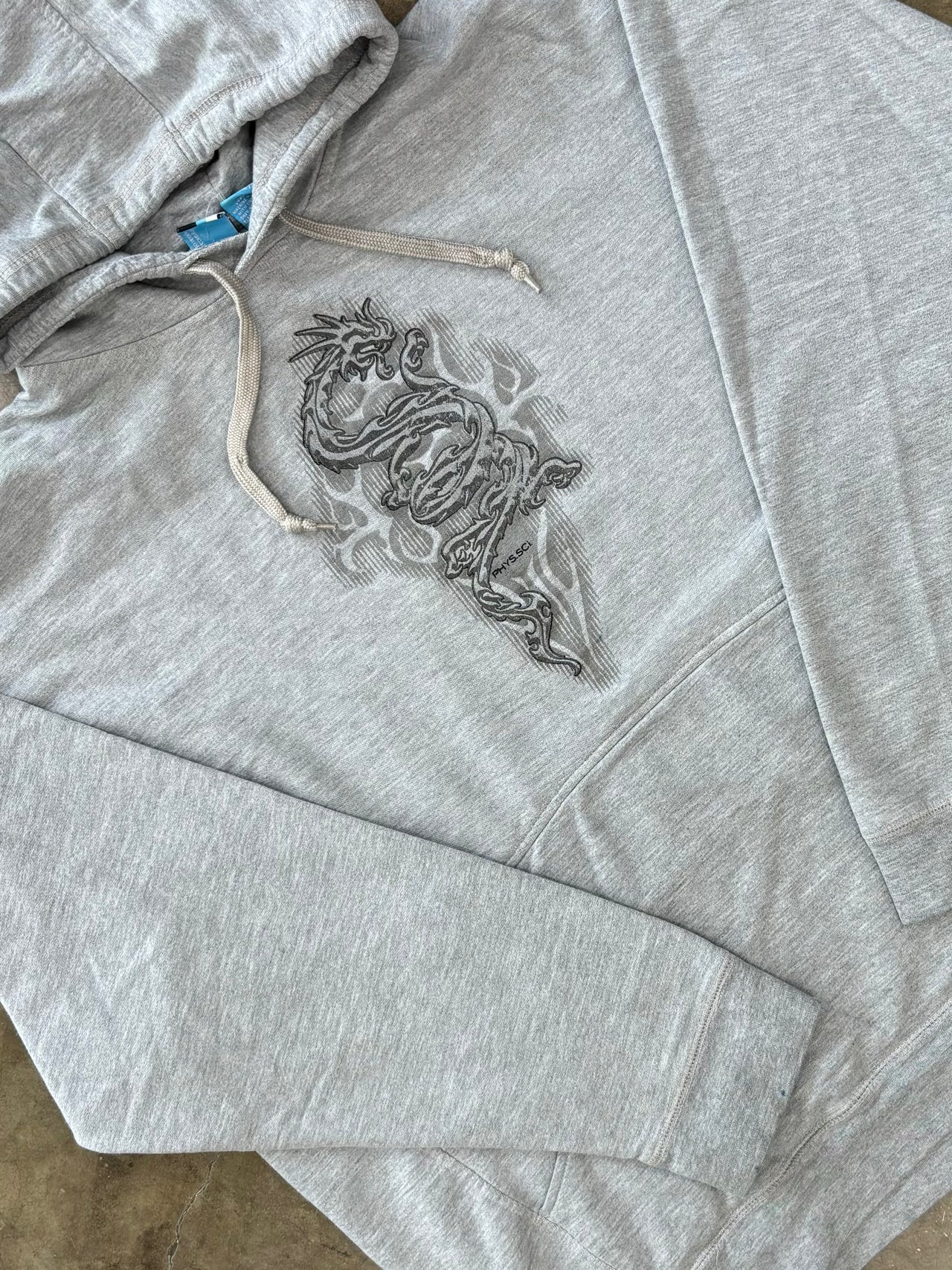 Y2K Early 2000 Phys.sci Dragon Hoodie