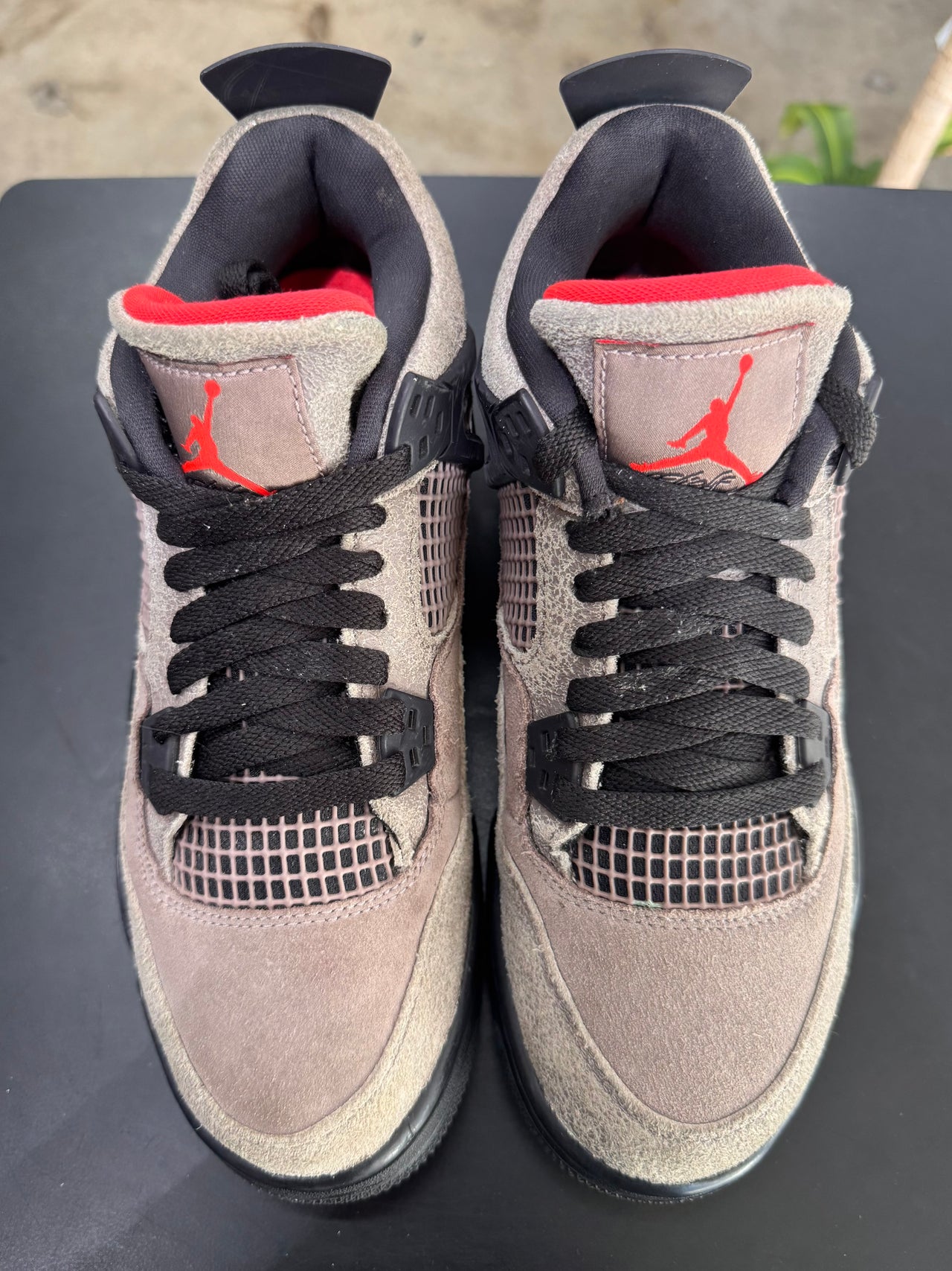 Air Jordan 4 Taupe Haze (2021)