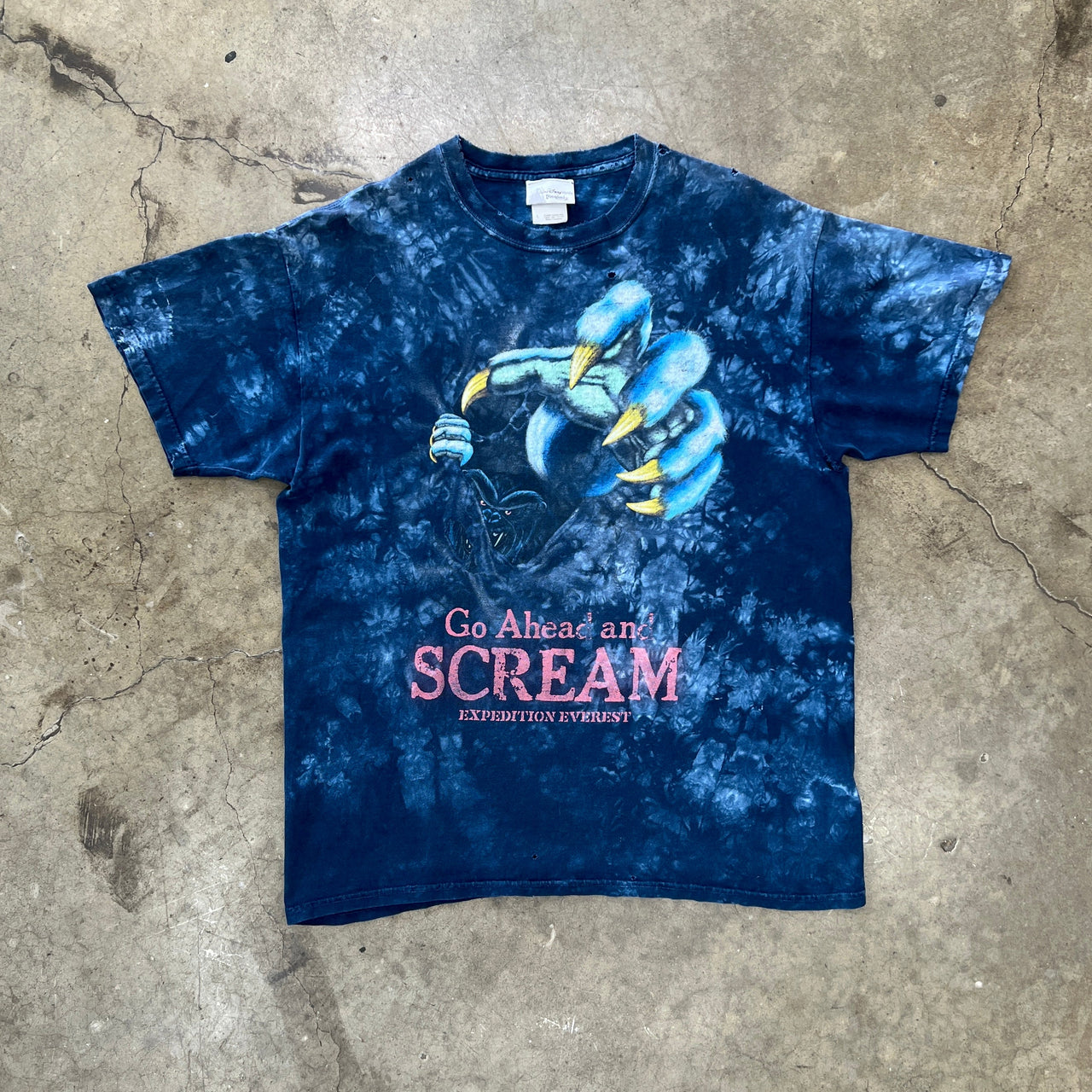 Disney Expedition Everest Go Ahead and Scream Tee