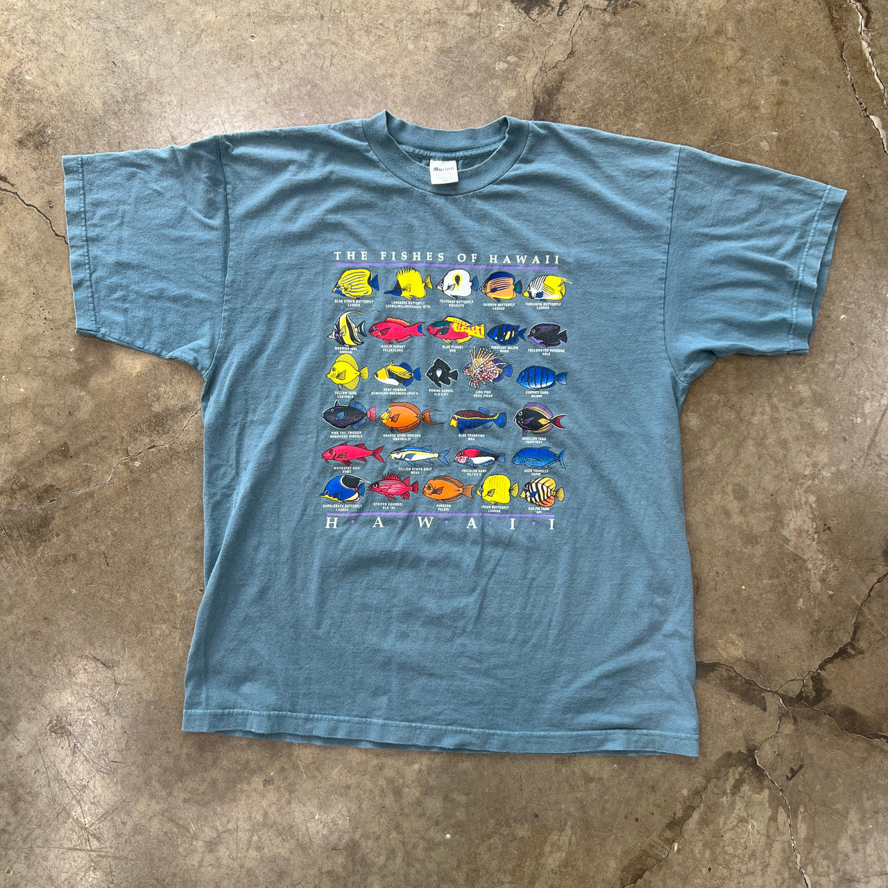 Fishes of Hawaii Vacation Tourist Tee