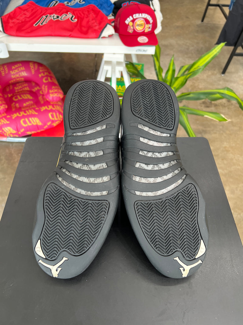 Air Jordan 12 Royalty Taxi