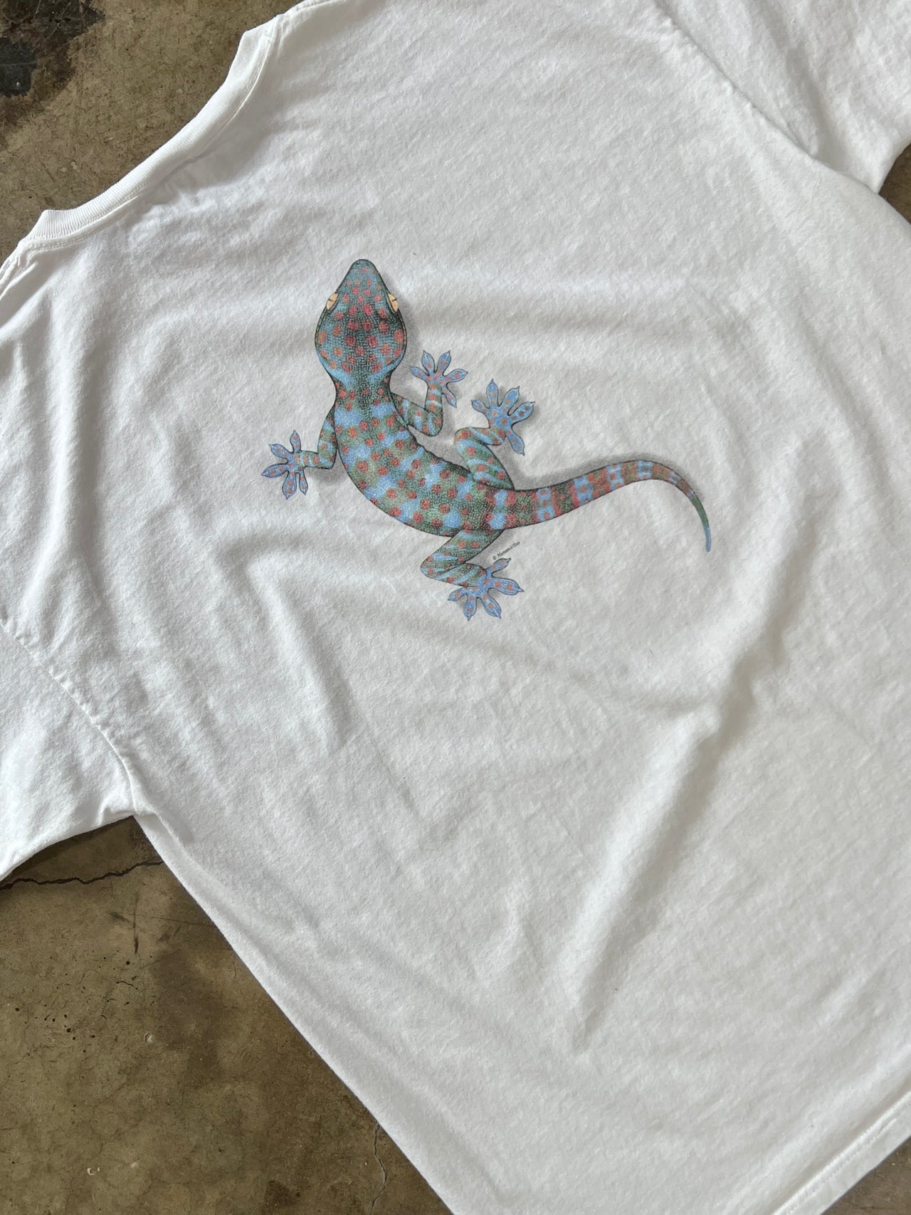 Lizard Nature Back and Front Graphic Tee