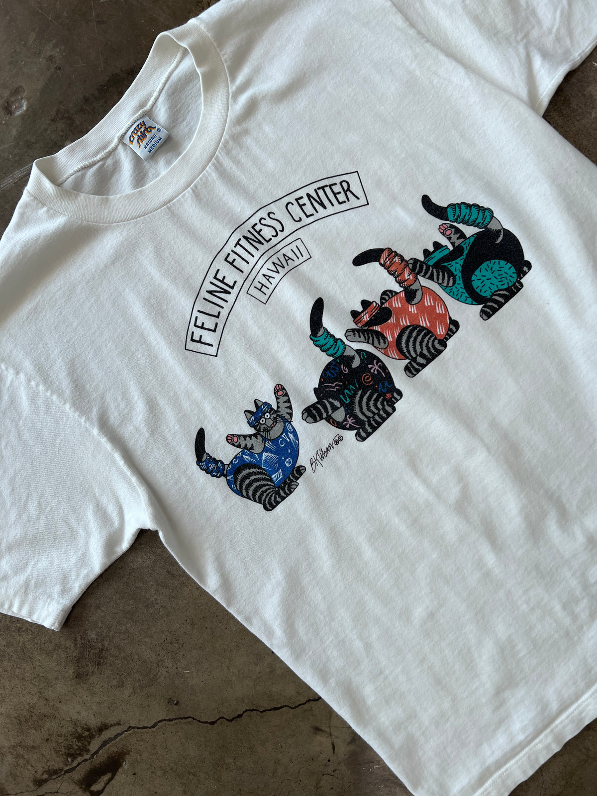 Cat Hawaii Art Single Stitch Tee