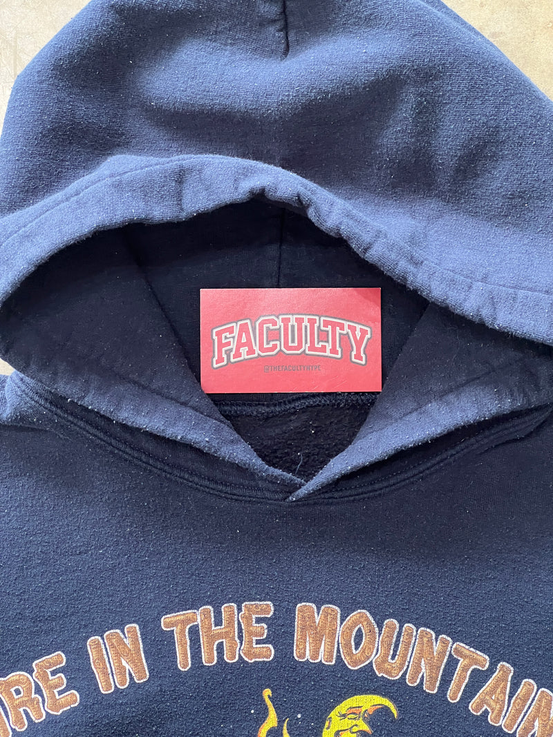 Grateful Dead Fire Mountains Campfire Hoodie