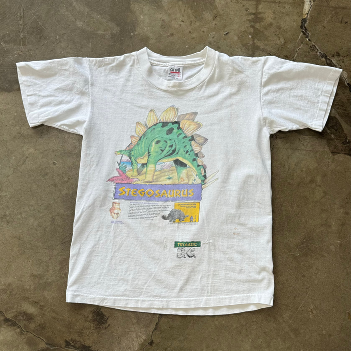 Stegosaurus Dinosaur Single Stitch Tee