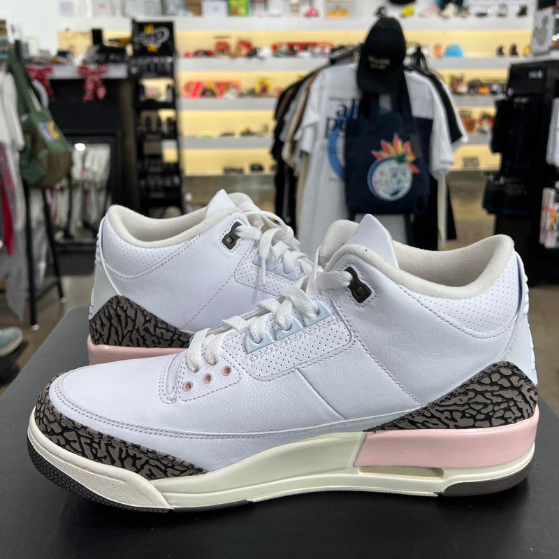 Air Jordan 3 Neapolitan